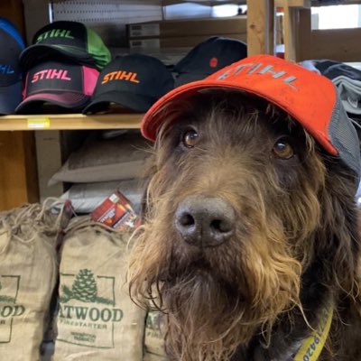 StrattonHardwar's tweet image. #NewProfilePic