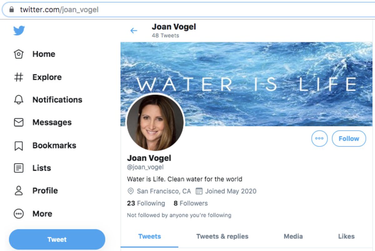 Zeng’s memes were quickly picked up by four other Twitter accounts, which use the names Amy Vuong, Joan Vogel, Steve Robinson, and Paul Medina. Vuong uses a profile pic of a Microsoft employee in WA named (!!) Emily Zeng. Vogel uses a pic of a HR manager in NJ named Amy Vogel.