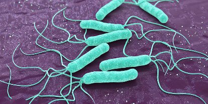 Helicobacter pylori: The StoryPeople actually thought that stress or spicy foods were what caused ulcer, it was not until 1982, when a pathologist, Dr. Robin Warren from Australia observed curved bacteria in most of the patients that suffered ulcer...A THREAD Help share