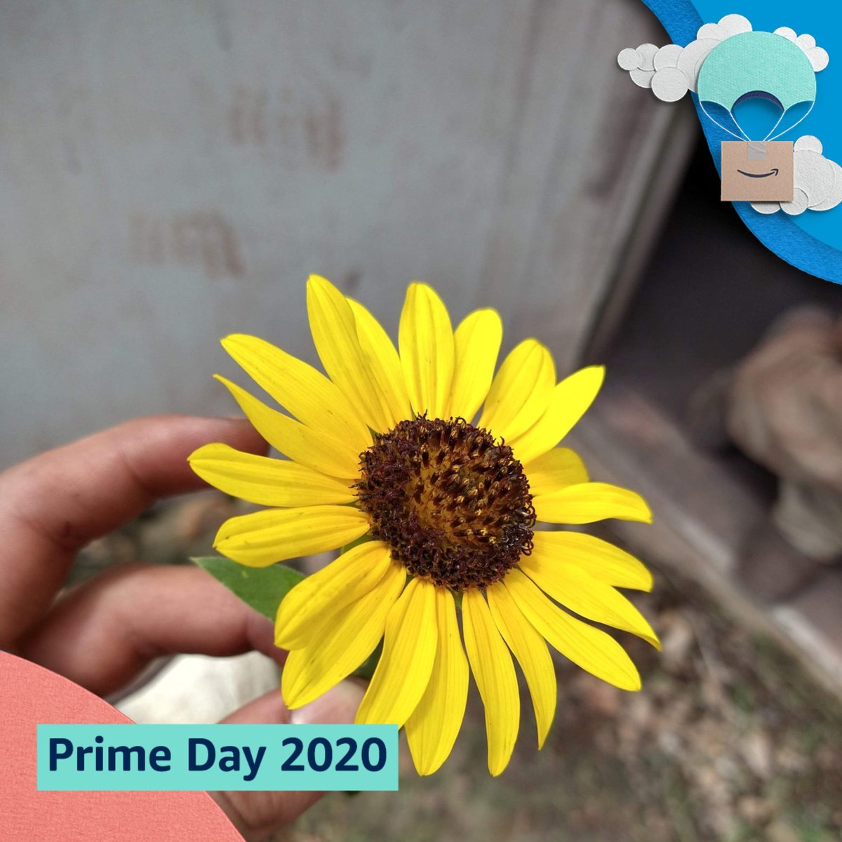 patrick_mrn9607's tweet photo. #PrimeDayPhotos @amazonphotos https://t.co/e6HRCFroGO