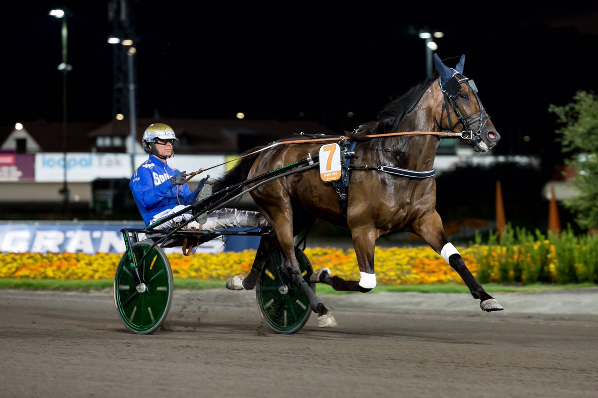 - Jag kommer strecka 14 Ellieann(V75-4) som trivs bra ihop med Sofia Frilén. Med bra tempo kommer man in i matchen och avsluta är något hon verkligen kan göra! 
Det säger Robin Karlsson(Robin Hood) inför lördagens V75-jackpot. Mer tankar inför omgången på: solvalla.se/nyheter/andels…