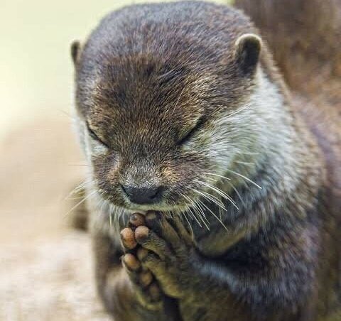 BeTrueA1's tweet image. No one truly care anymore. 
We all complain about 2020 treating us badly without even bothering to know or understand what 2020 is going through. 
2020 is depressed and no one cares. 

#PrayFor2020
#2020LifeMattersToo