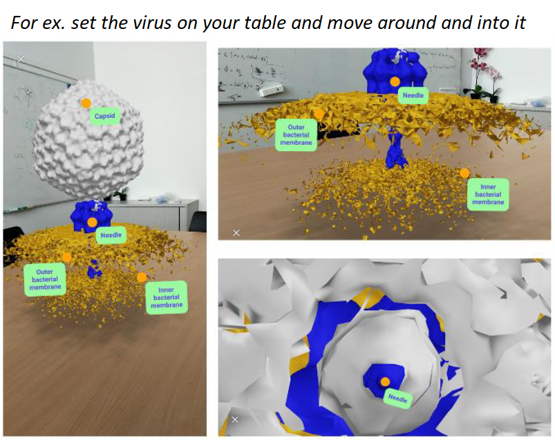 For large biological molecules and assemblies we now also have AR views "in your space" without markers, powered by  @modelviewer (this feature only works on Android phones so far -the rest of the website works on all browsers). Objects lie on surfaces, you move around them.