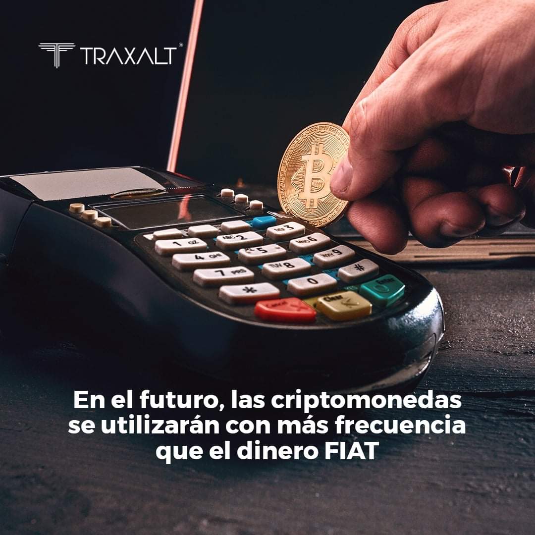 Agio_flores's tweet photo. 😉Estoy totalmente de acuerdo, pero muchos aún no están preparados para esta platica ✌
#AGioAirBitClub
#SoyLiderPro
#traxaltofficial
#networking
#wolfsteam
#bitboybb https://t.co/Vo7CBnIaPW