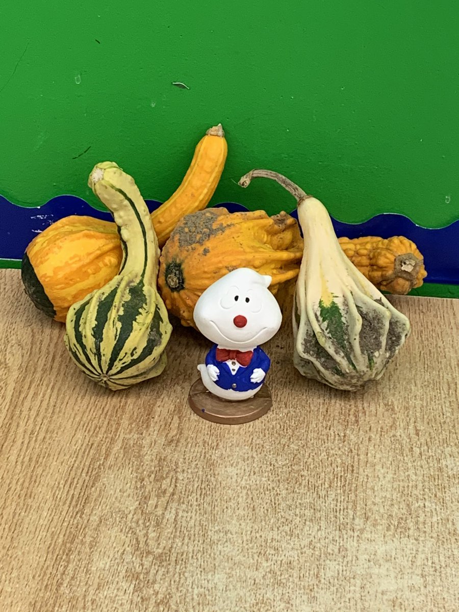 The monsters and gourds have arrived. Let the creative writing begin!  #voicewritimg #creativityatitsbest <a href="/AdjalaCentral/">AdjalaCentral</a>