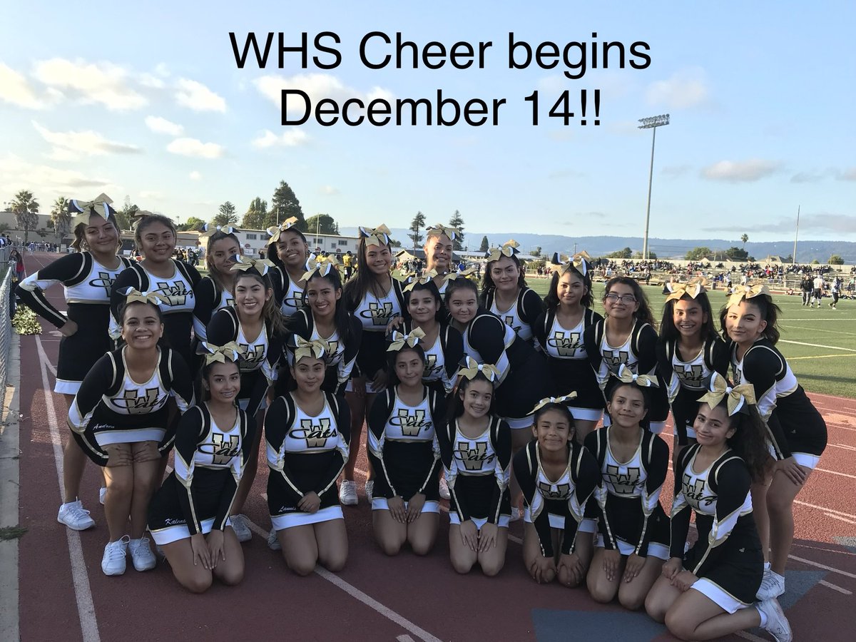 WHS Cheer starts soon! Please contact hannah_thackery@pvusd.net if you would like information <a href="/WildcatzASB/">WHSActivities</a> <a href="/WHSWildcatz/">Willie Wildcat</a> <a href="/CatzAthletics/">Wildcatz Athletics</a>