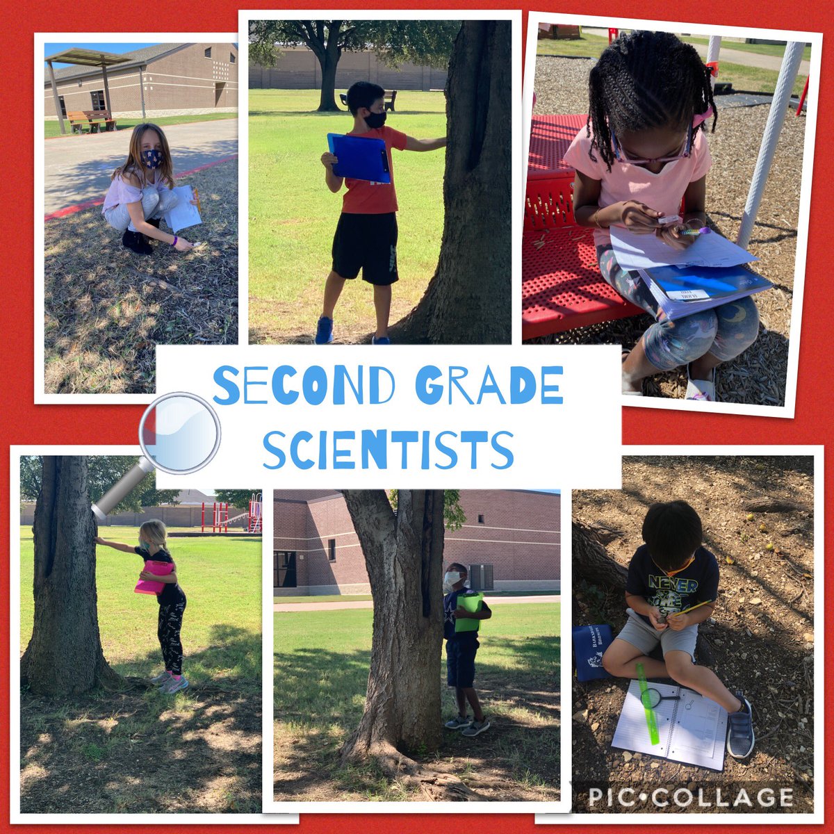 barksdalebronco's tweet image. Look how much fun all of our Broncos had this week! We are seeing such wonderful and kind leaders in every grade level. Keep up the great work, Broncos! ❤️ #PISDPoweredbyLearning