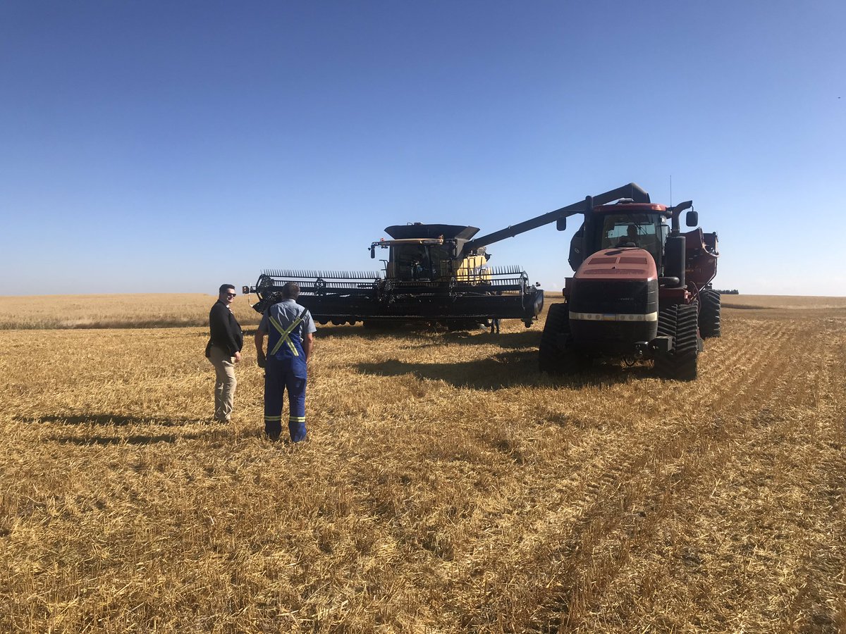 dennisfarm53's tweet photo. Busy day in the oat field today at Erickson Agro with perfect harvest conditions. CTV Edmonton News out in the field doing a agricultural segment. Three generations of our family were operating the machines today. https://t.co/qomm4JVmTv
