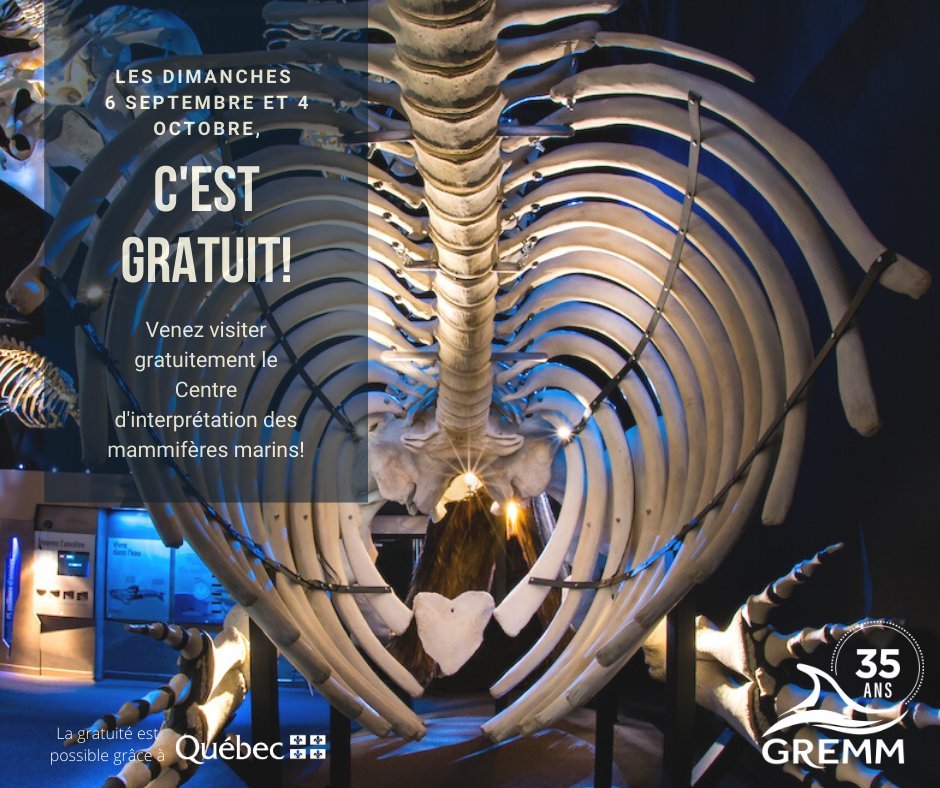 GREMM_'s tweet photo. Ce dimanche 4 octobre, le Centre d'interprétation des mammifères marins à Tadoussac ouvre ses portes gratuitement. #cestlemomentdenprofiter #dimancheaumusee https://t.co/qQ6SFsx9Rn