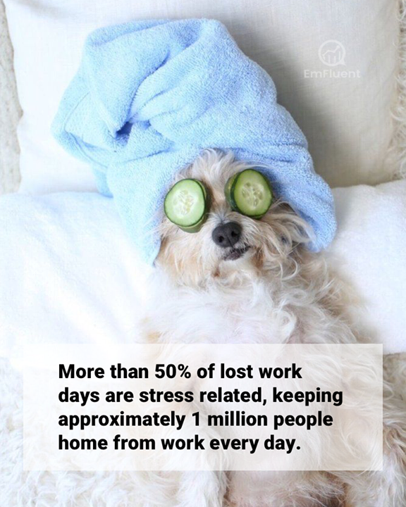 Employees are the most valuable asset of any organization. Companies who prioritize their employees' well-being report better teamwork, increased productivity while seeing reduced sick leave and workplace accidents. It is a win-win for everyone. #TGIF #workplacewellbeing