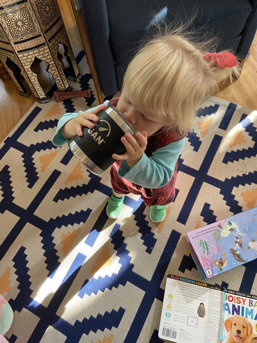 DaniellejSteer's tweet photo. I’m looking forward to presenting @LunarStartups at the @GANConnect summit next week. Charlotte might require a cameo on the panel in exchange for my #gansummit @YETICoolers swag https://t.co/mOjYHXHNW3