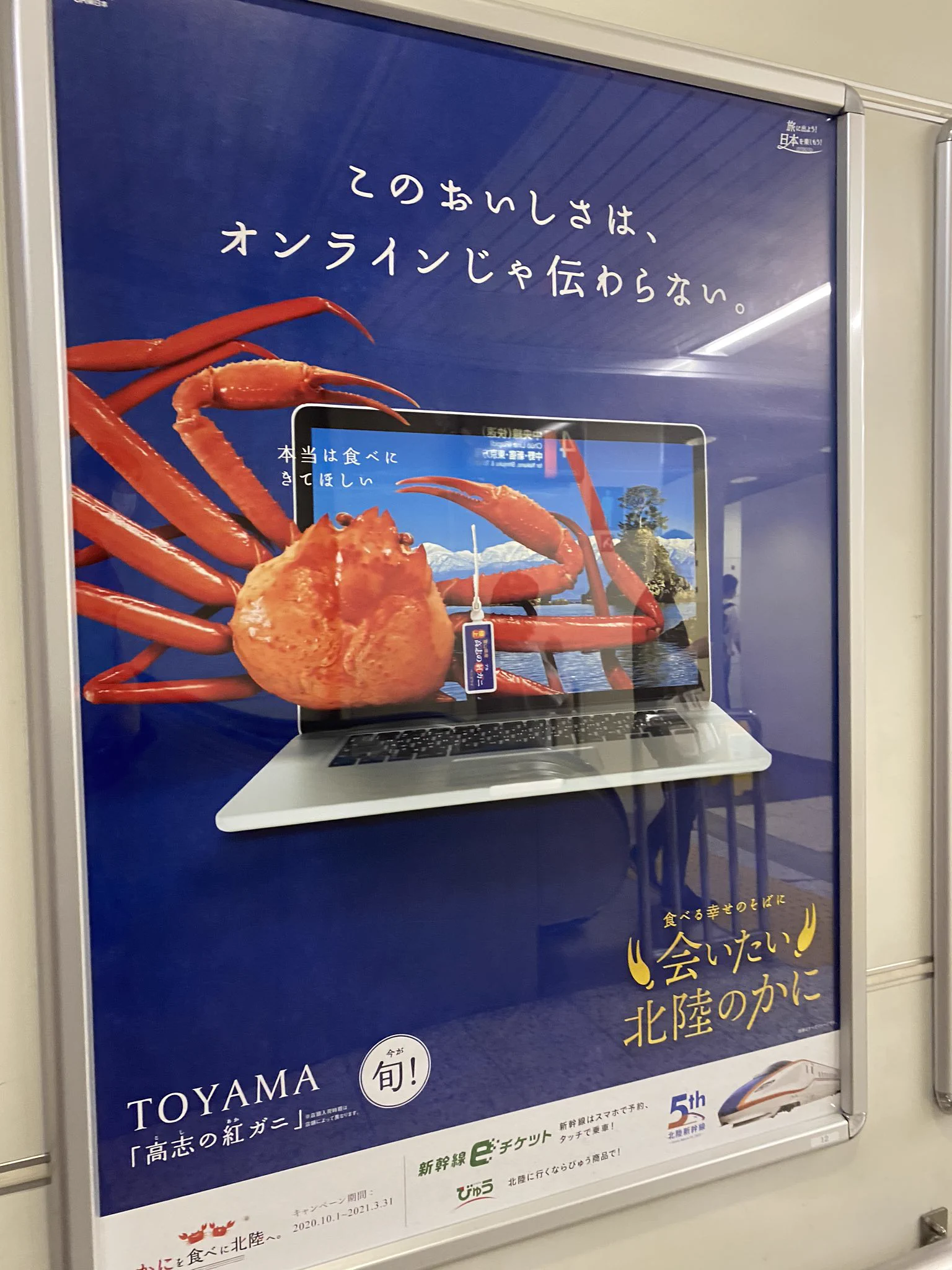 冬です！カニを食べに行きませんか？！北陸新幹線がカニを全面に押し出した広告を作ってきた！！