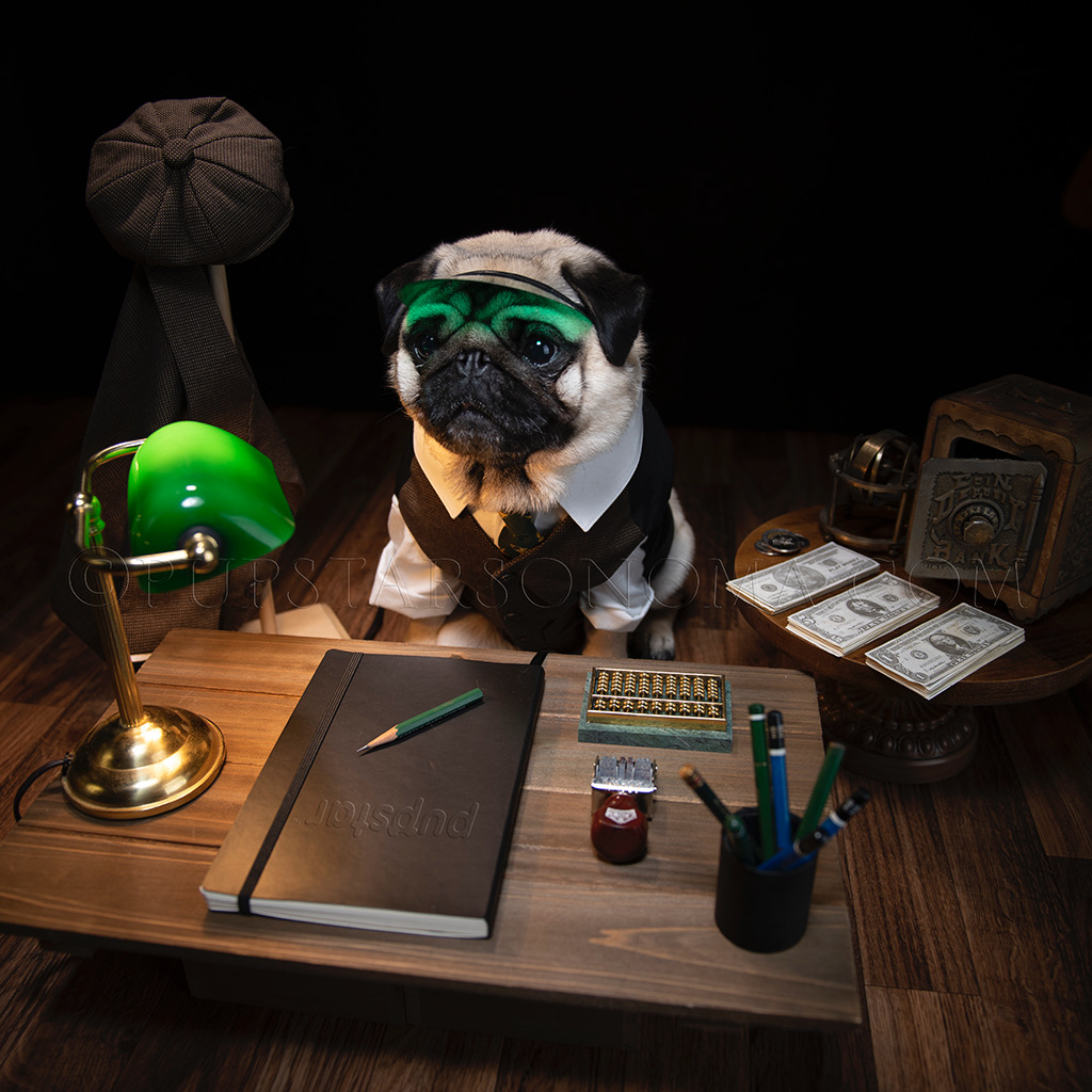 pupstarsonoma's tweet photo. Need a good tax guy? Call Zed ☎️ #goodtaxguy 👍����💰
#pug #accountant #taxguy #taxes #pugcosplay #accountantpug https://t.co/NxApozqlqU