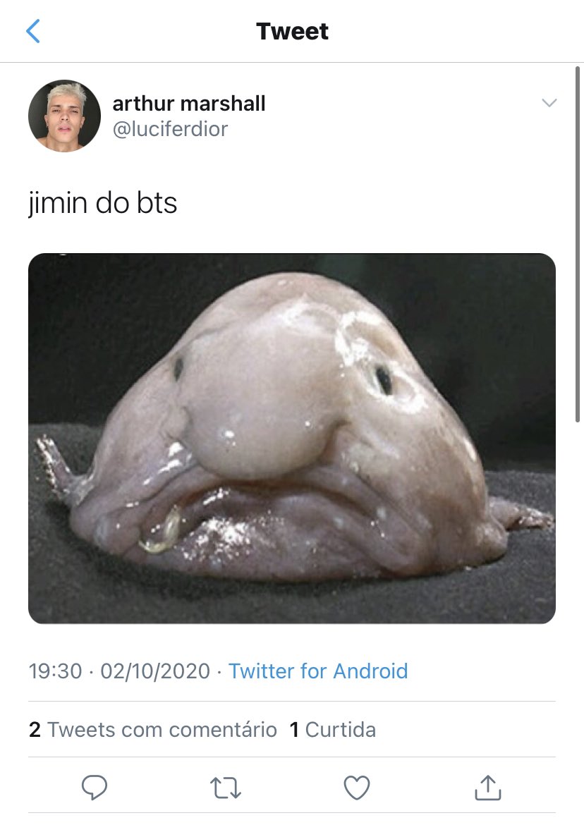 PROTECT PARK JIMIN 🐥 tweet media