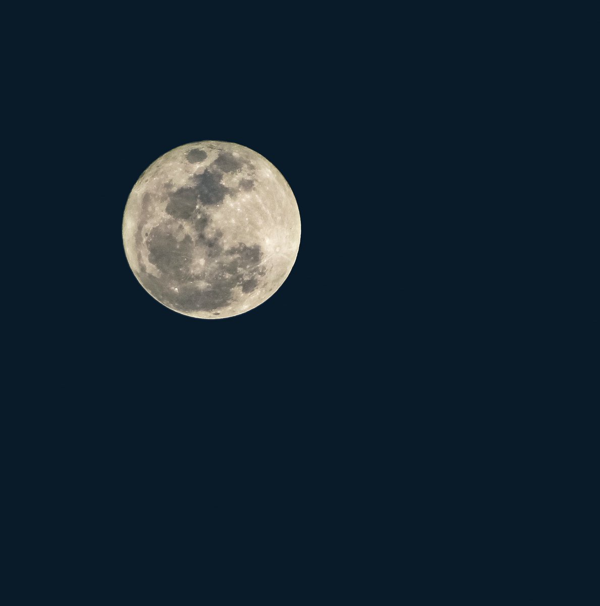 sp2099 🎗 tweet media