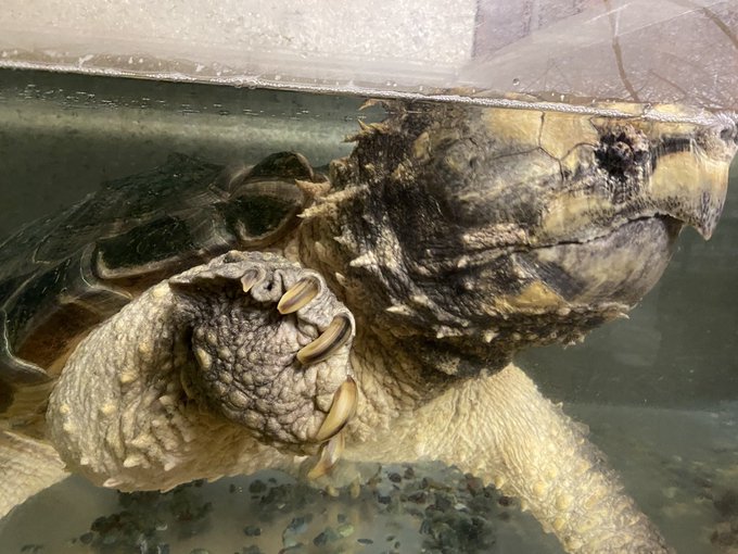 Takahisa610さんのイラストまとめ 6ページ目 Takahisa610さんのイラストまとめ 6ページ目