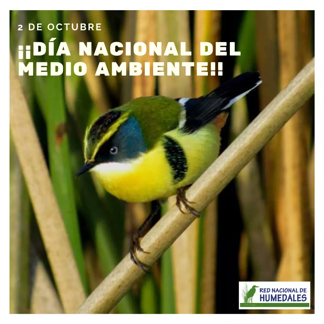 #DíaNacionaldelMedioAmbiente 🌍‼tiene como objetivo el promover la educación ambiental, generar conciencia sobre la importancia de conocer y preservar el patrimonio natural. La ciudadanía empoderada se suma a la defensa de sus #Humedales y del patrimonio natural 💧🌱🙌😍
