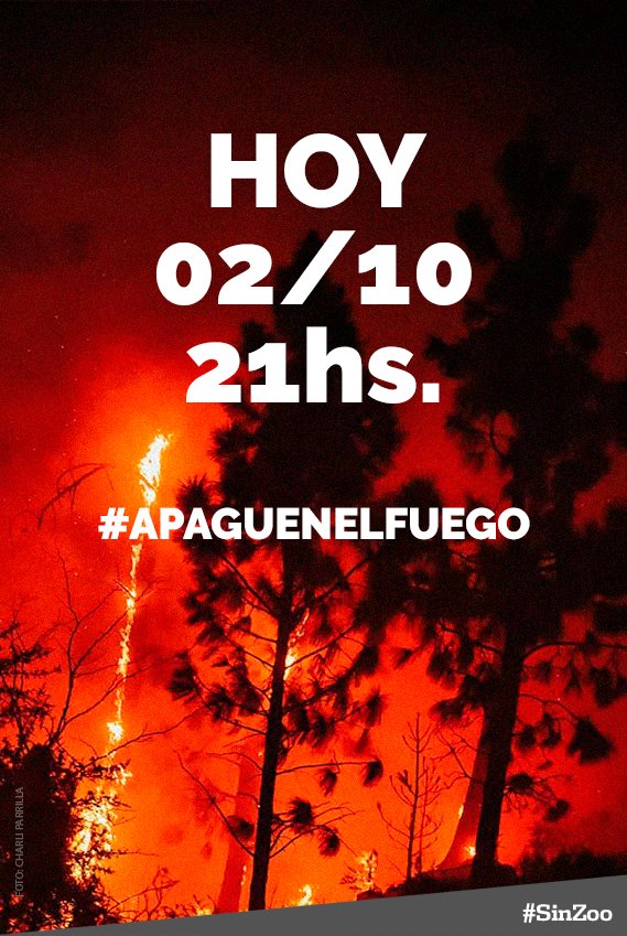 malalafontan's tweet photo. #ArgentinaEnLlamas #ApaguenElFuego que estas haciendo @alferdez ???? TODOS QUEDATE EN CASA Y AFUERA NO QUEDA NADA https://t.co/8CEky8GpC6