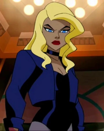 From villain, to heroine, to golden age nostalgia character, to Justice Leaguer, to Green Arrow's OTP, to... let's forget... to JLA founder and star of games, cartoons, TV shows, movies and beyond, it's been a wild 73 years for Dinah. Thanks for reading, folks