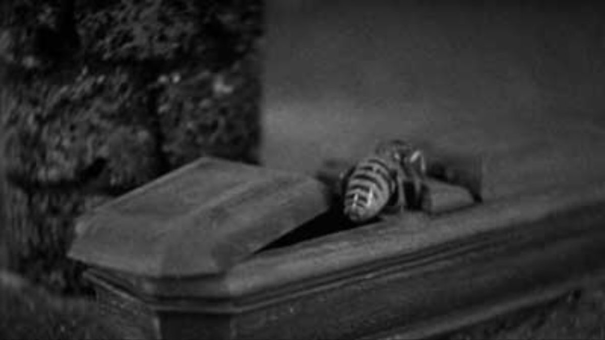 I love that the um, ‘pets’ in Dracula (1931) had their own coffins   #Dracula  #TCMParty