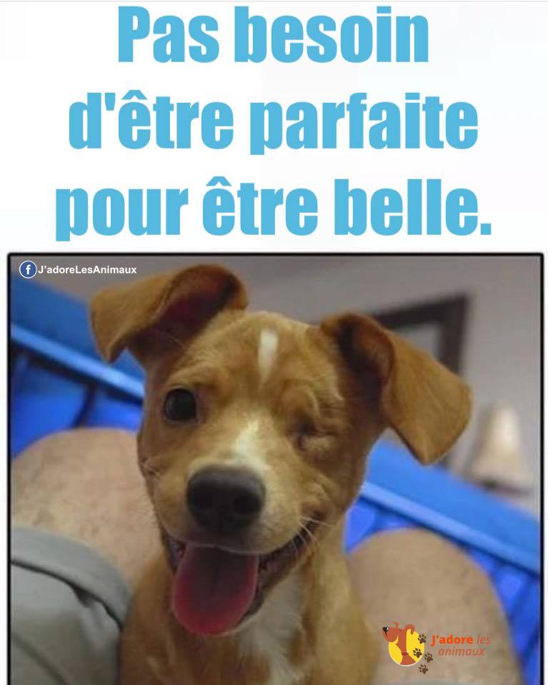 animal__passion's tweet photo. C'est vrai tu es belle 🥰 https://t.co/0gPCf9i2Ke