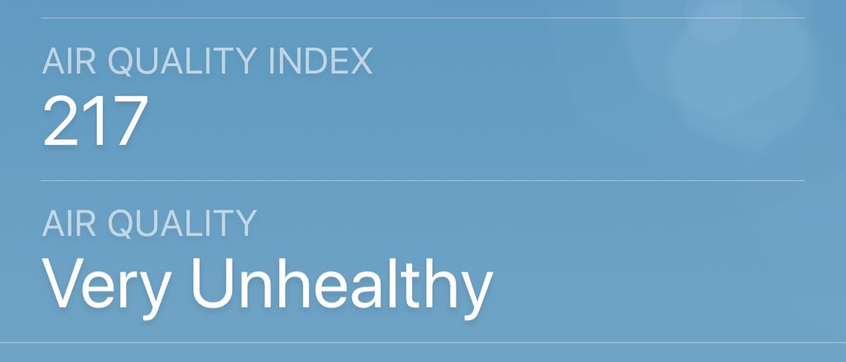 Dan Riddle tweet media