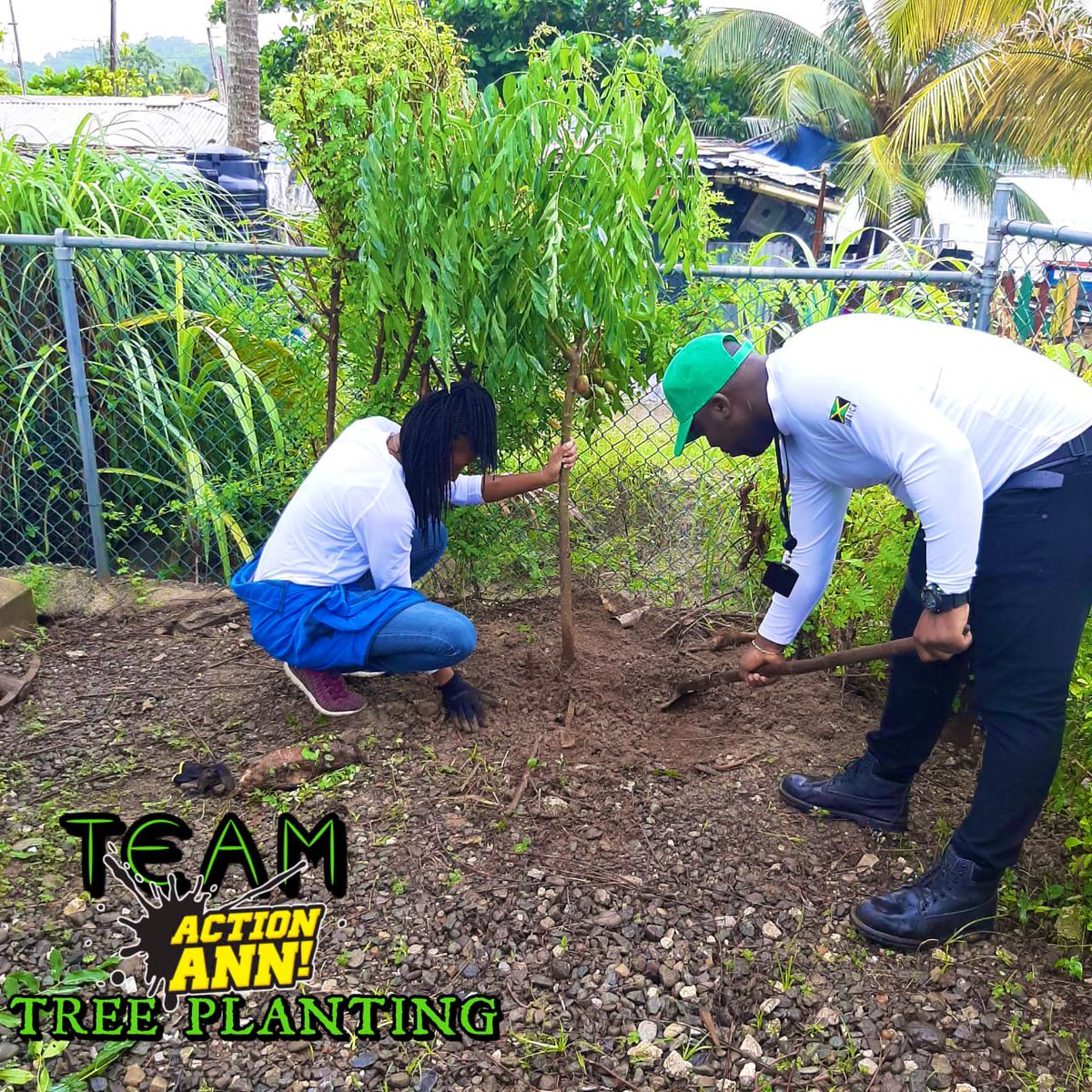 annmarievazja's tweet photo. The #ActionTeam participated in the National Tree Planting Day. Boom! #NTPD2020 #Trees4health π³
my #EastPortland π―π²ππ»β€οΈ https://t.co/TzNb0hAnUl