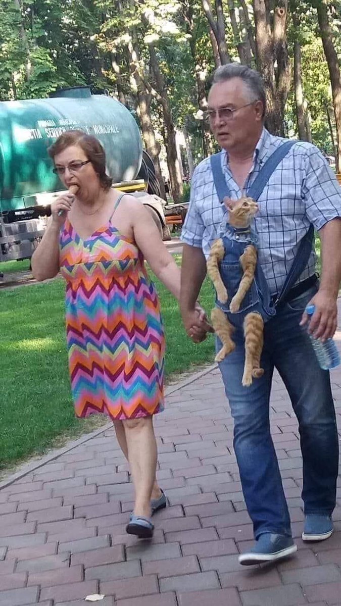 UncleDuke1969's tweet photo. I stared at this picture for an hour, trying to write a caption that was worthy of this masterpiece of photographic art. In the end, I realized that there was absolutely nothing I could add to the perfection captured in this image. Enjoy it. Immerse yourself in it. EXPERIENCE IT. https://t.co/wqOEYmwNRP