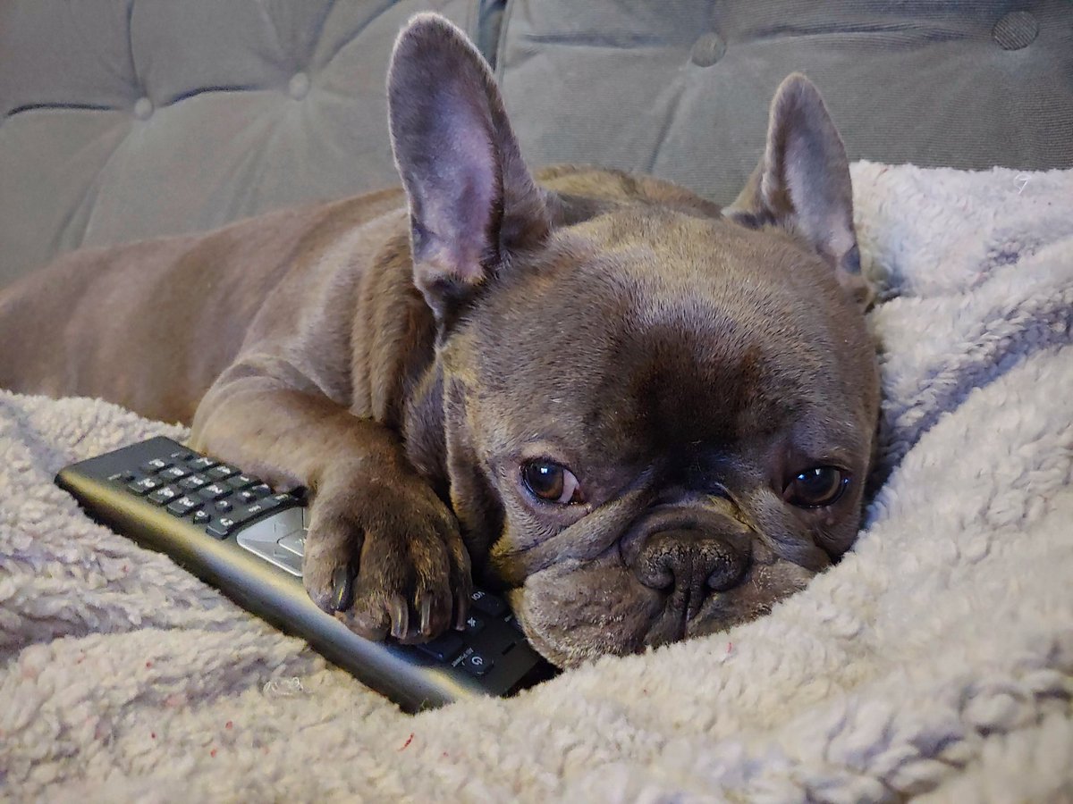 Finally got control of the remote! Food network all night! 😏