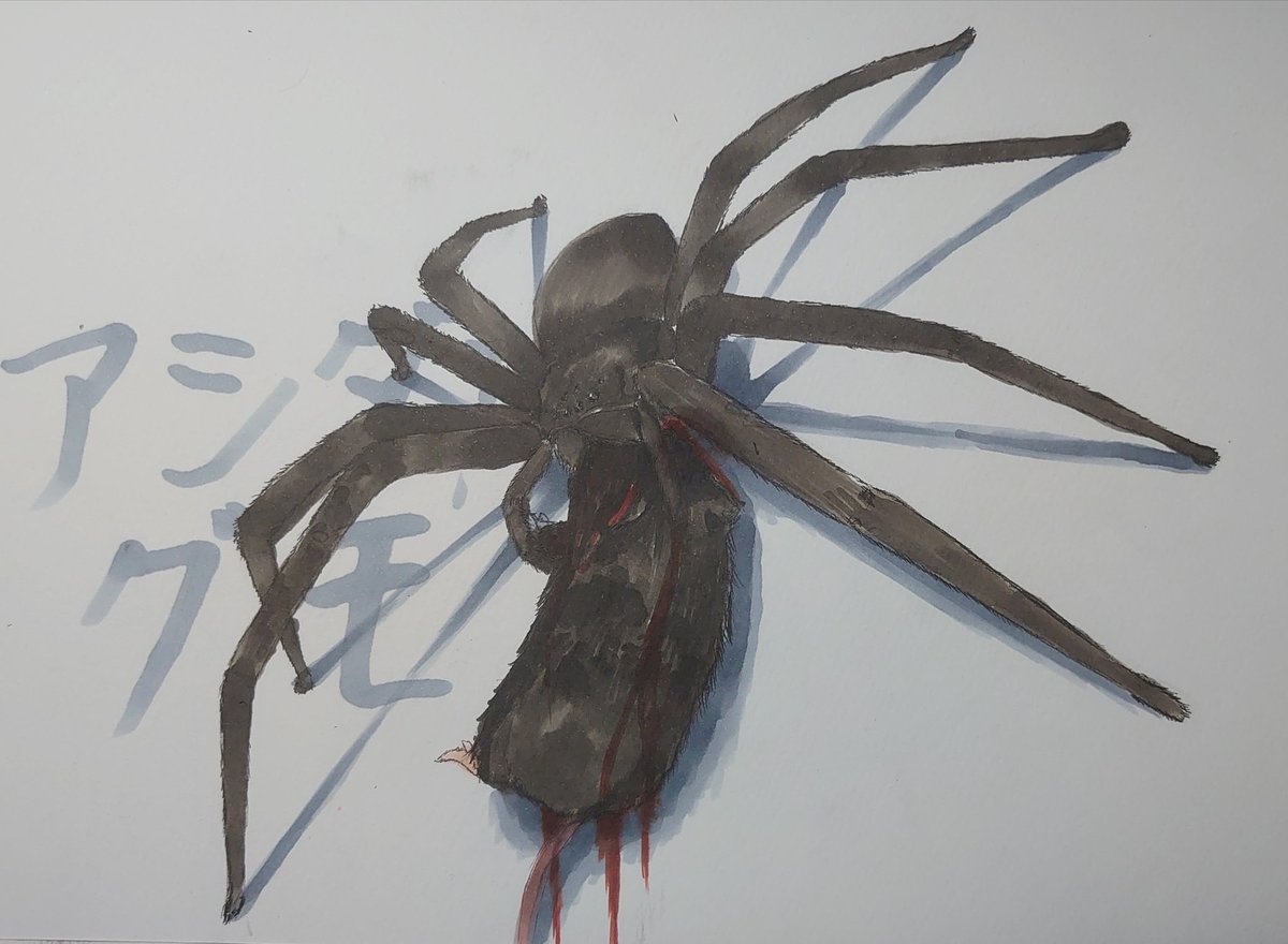 印刷可能 女の子 蜘蛛 イラスト かっこいい あなたのためのクールな画像