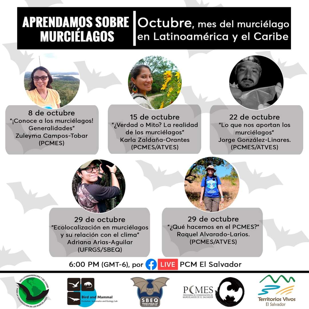 PCMElSalvador's tweet photo. 📢 En octubre no se pueden perder las charlas del #PCMES y aprender sobre nuestros aliados nocturnos 🦇. 

🗓: Todos los jueves 
⏰: 6:00 pm 
📍: Facebook Live (PCMES)

Celebremos juntos el mes del #murciélago en Latinoamérica y el Caribe. #OctubreMesDelMurciélago https://t.co/Xk8B7QcVYi