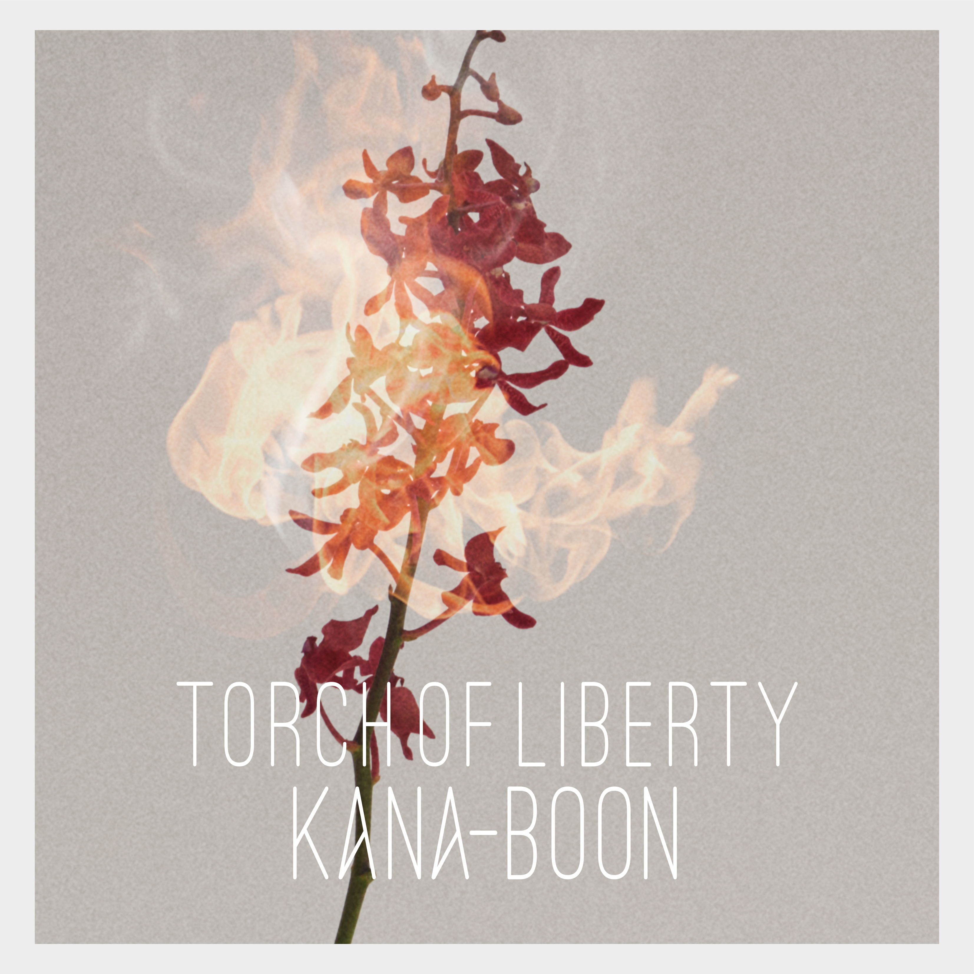 Kana Boon Official 11 25リリースのニューシングル Torch Of Liberty の詳細解禁 T Co 4kbjfyqcbh アートワークは 一輪の花がまるでトーチのように発火しているジャケットとなっており 初回生産限定盤には Kana Boonの プレ Best Live の