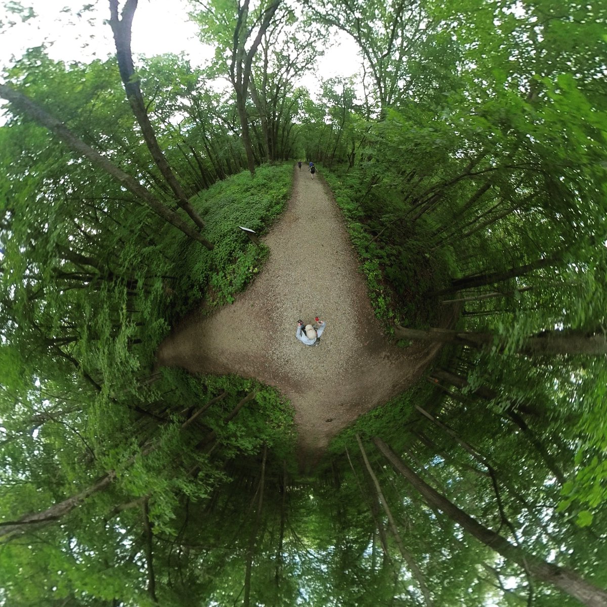 SouthernMinnGuy's tweet photo. https://t.co/d1z7oqbQbi today: 
Forestville/Mystery Cave State Park

#360pix #tinyplanet #Minnesota #MNtravel #OnlyinMN #ExploreMinnesota #FillmoreCountyMN #MNStateParks #travel #photography #nature #outdoors #hiking @mnstateparks #forest #trail https://t.co/HgLTZ8X5HS