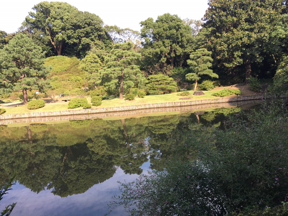 RikugienGarden's tweet photo. 涼しくなり、散策しやすい季節になりました。澄んだ空気で大泉水が鏡面になり、空や樹々が綺麗に映り込んでいます。正門を入ると ＃ヒガンバナ の鮮やかな色と ＃キンモクセイ の香りが出迎えてくれます。＃六義園 ＃庭園 ＃garden https://t.co/aYIo9Dkv0B