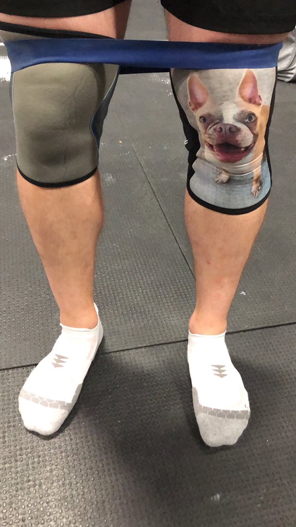 Ebeling_Kyle's tweet photo. Some back squats with bench press. Banded work tonight 😳 quiet Friday night 💪���� and YES that's my dog on my knee saver! #BostonTerrier #BostonsOfTwitter @crossfit1force @HybridAF_247 https://t.co/7bCdyuSiyk
