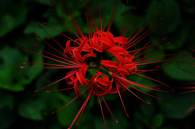 通りすがりの 高画質 のtwitterイラスト検索結果 古い順