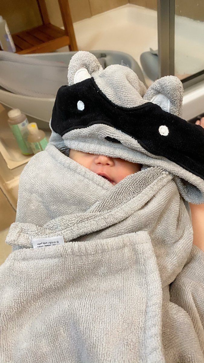 Baby Raccoon’s first bath.