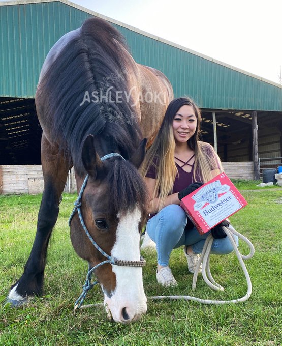 TW Pornstars Ashley Aoki. The latest pictures and videos from Twitter