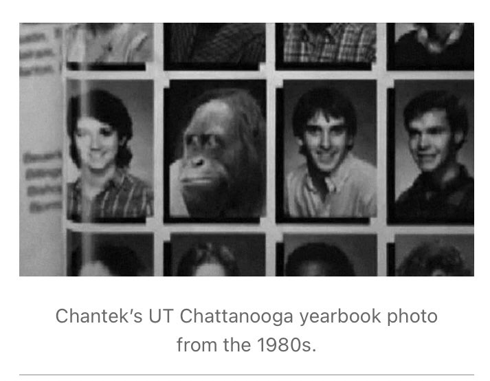 6. Chantek the Orangutan- 12/10- knew 150+ ASL words & understood spoken english- went to college - from the wikipedia page: “He possessed the spatial comprehension to direct a driving-route from the University of Tennessee to the closest Dairy Queen”