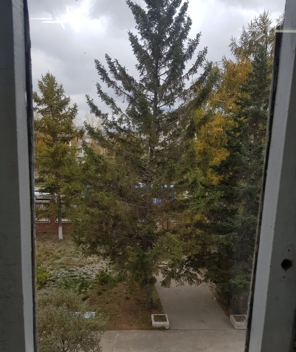 Бага насаа дурсаад хичээлдээ сууж байна да 🙂