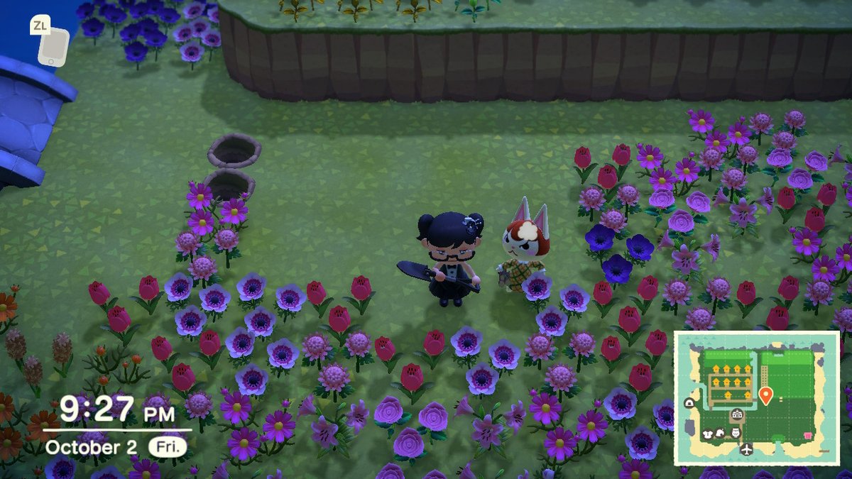 SeraelCrossing's tweet photo. My baby Felicity is pissed, Coco you done f'ed up. Also hi, lol, I always make time for Halloween events. #AnimalCrossing #ACNH https://t.co/HDDTDqsd1i