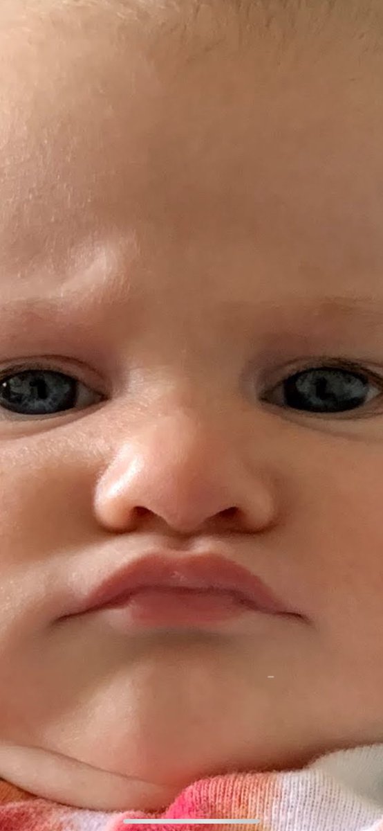 PSweens33's tweet photo. When a really loud motorcycle rides by and wakes us up at night https://t.co/jONzEtEKPc