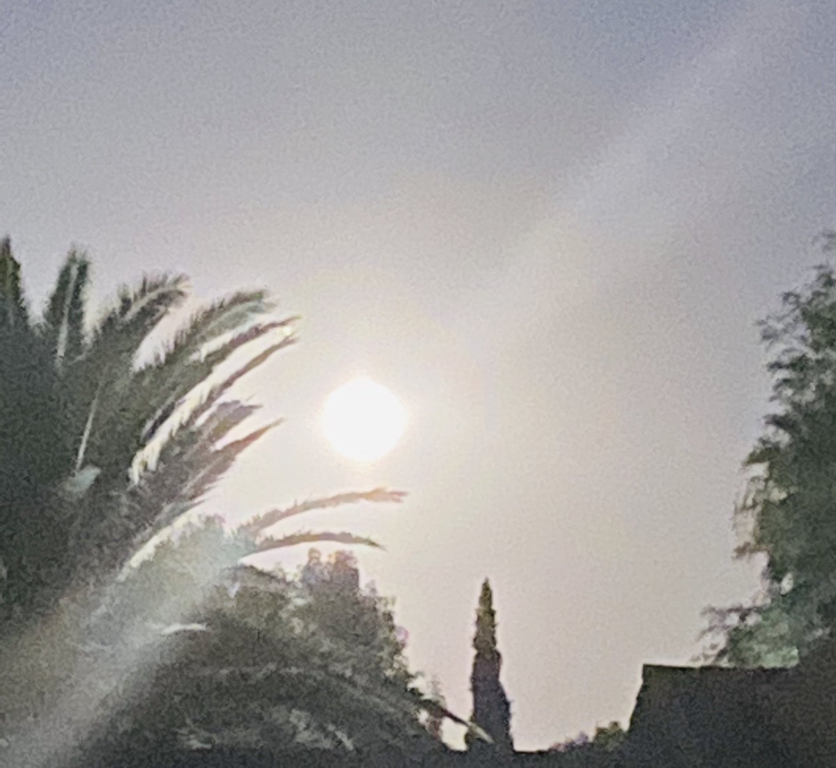 Looks like a full moon!