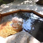 ツイートに含まれる画像