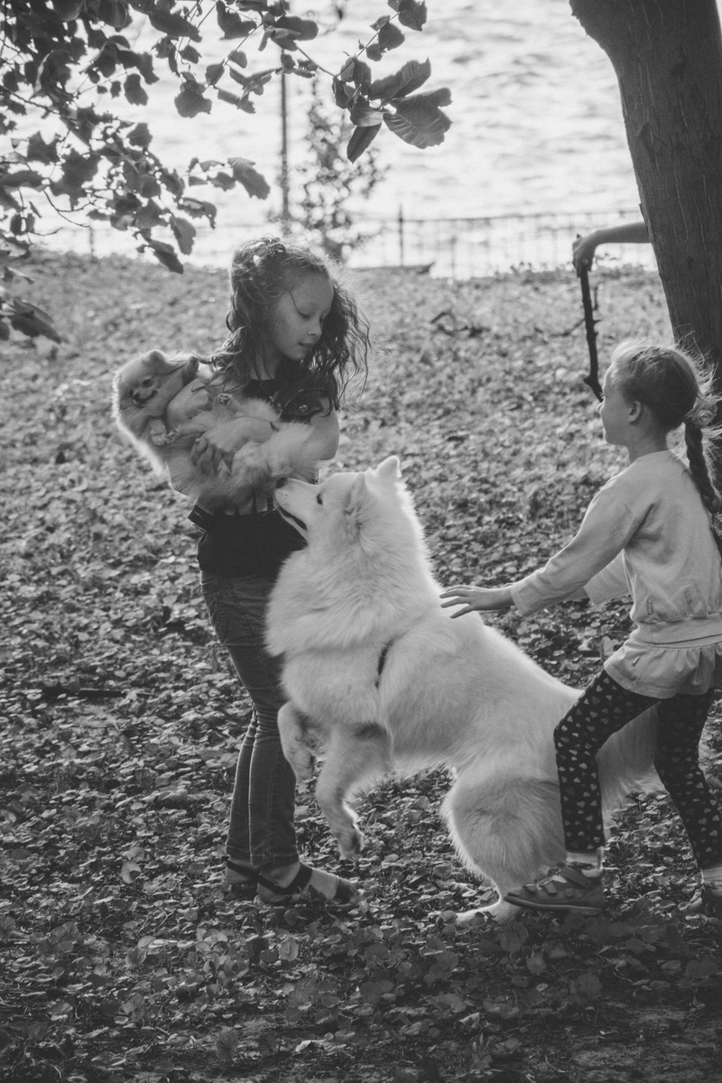 BellaAndDuke's tweet image. It's a lovely thing to come home too, but our dogs also need to respect our space.

Read the full article: How to Stop a Dog Jumping Up
▸ lttr.ai/XUzv

#Dog #DoggyHealthHappinessBlog #AttentionSeeking #Proxemics