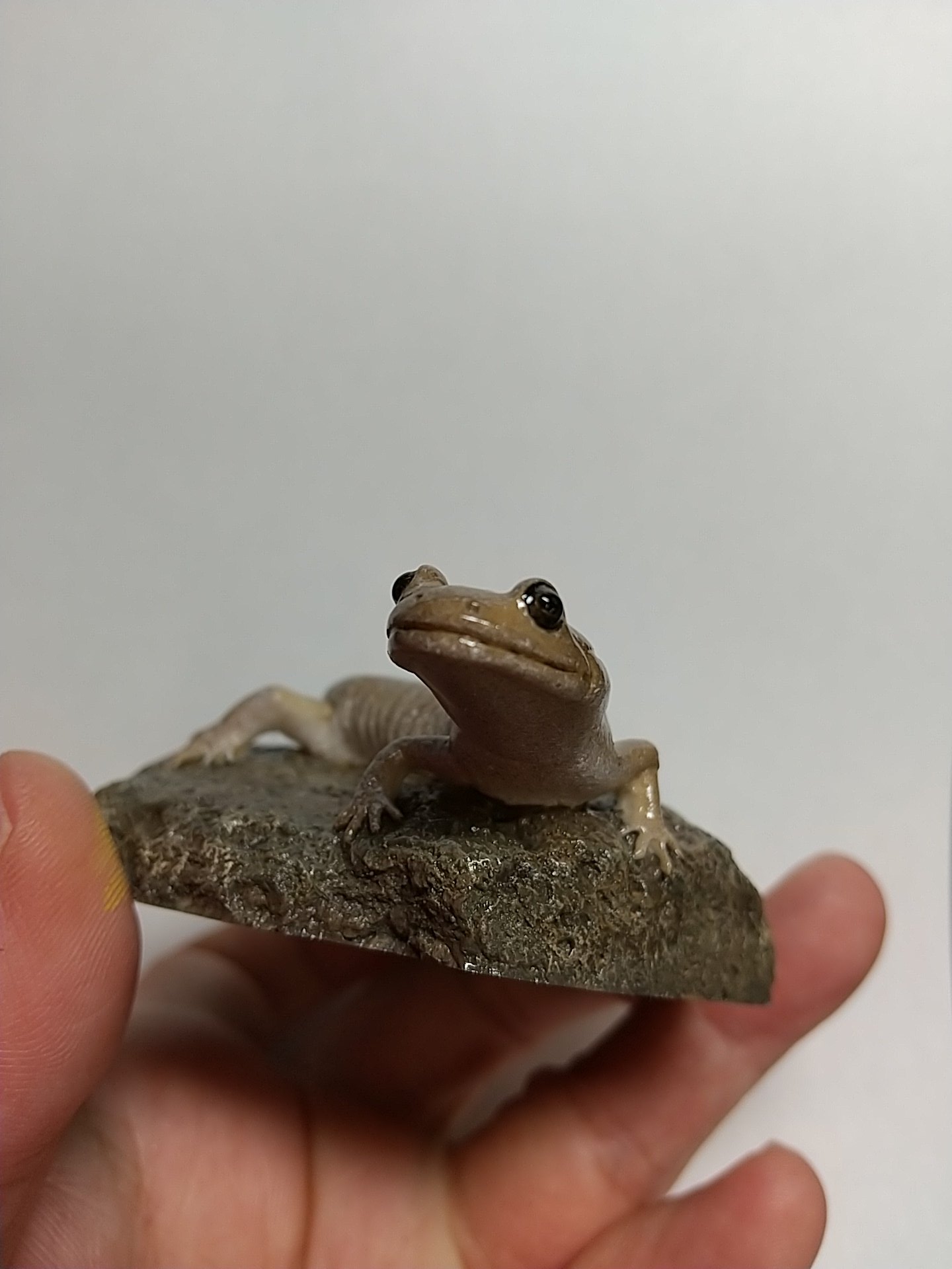 カエル工房 on X: 