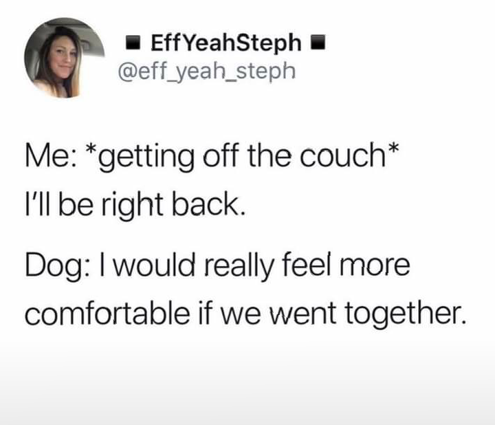 Aimee Kay (@aimeerhoten) on Twitter photo 