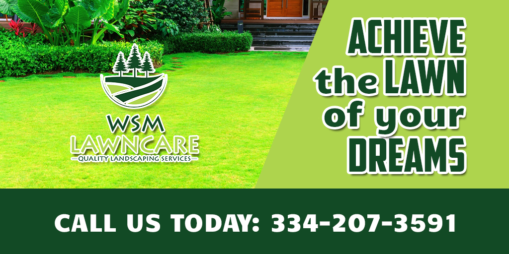 LawnWsm's tweet photo. #WSMLawnCare are always here for you and make sure that you get the version of exactly what you want for your lawns throughout Montgomery, Millbrook, Prattville, Wetumpka, Alexander City, and Pike Road AL . 🌟😊👍 
#LawncareServiceMontgomeryAL #LandscapingMontgomeryAL https://t.co/6iiGHcJlBu