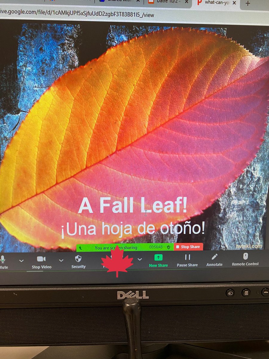 MrsDatreLB's tweet photo. Identifying beautiful Fall decor all around us!🍎🍂🎃🍏🍁 #scienceeyes #nature @morrisaveschool https://t.co/W1IA06kwBc