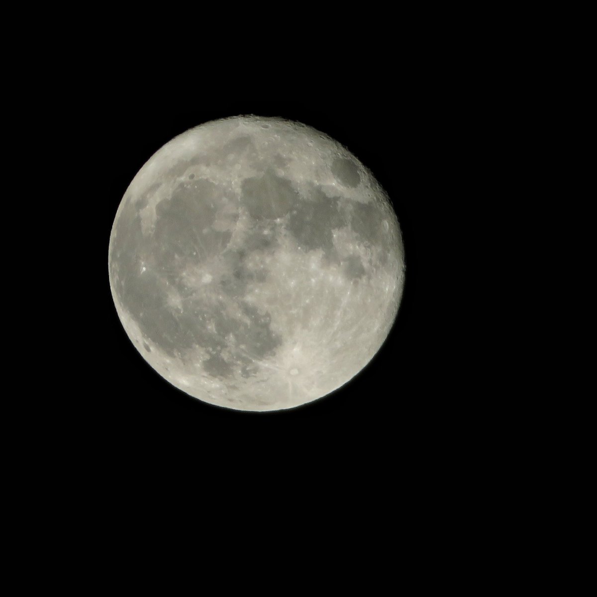 Cheese! 😆👍⭐🌙🌃
#BradThePhotog